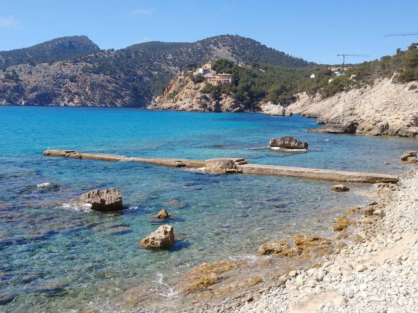Real Club Camp De Mar